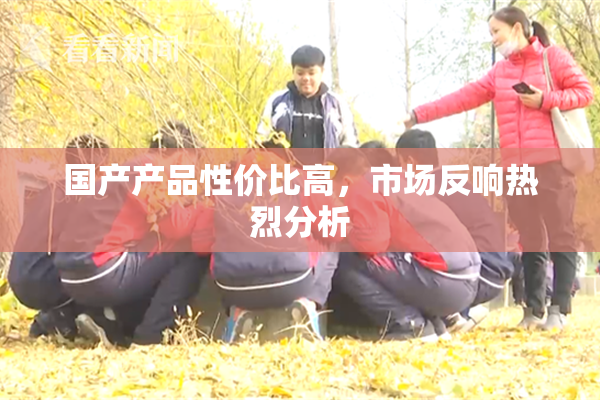 国产产品性价比高，市场反响热烈分析