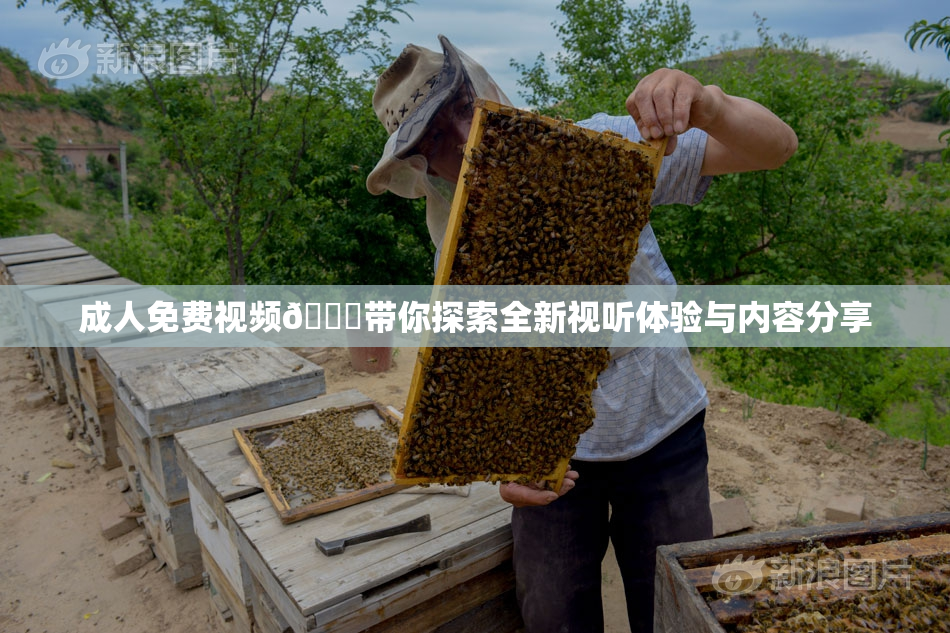 成人免费视频🔞带你探索全新视听体验与内容分享