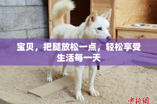 宝贝，把腿放松一点，轻松享受生活每一天