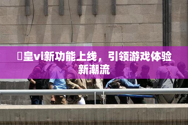 嘼皇vi新功能上线，引领游戏体验新潮流