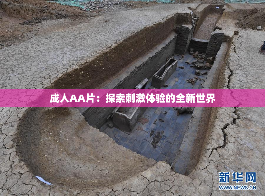 成人AA片：探索刺激体验的全新世界