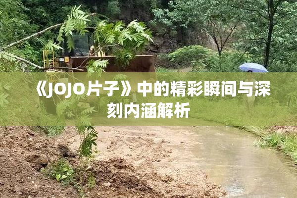《JOJO片子》中的精彩瞬间与深刻内涵解析