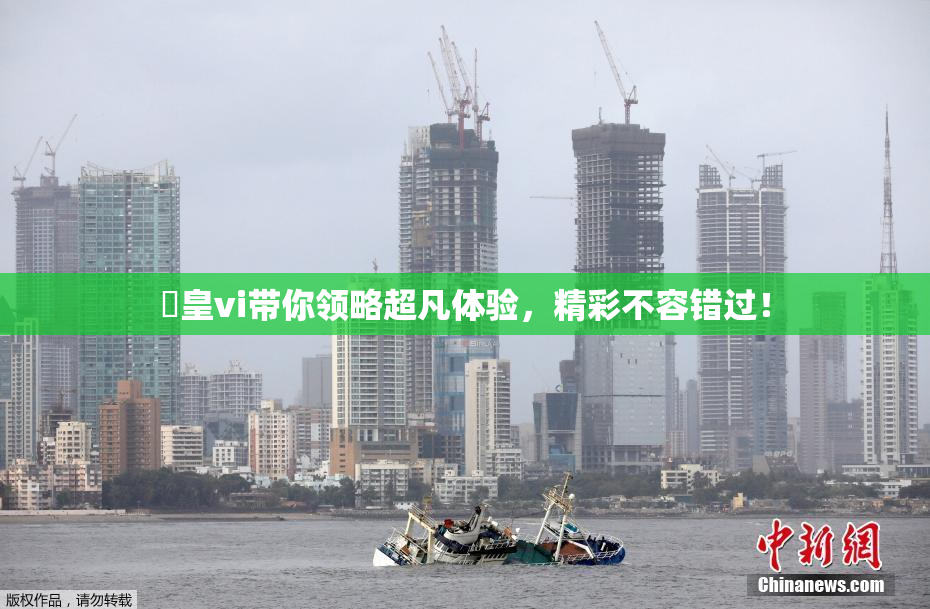 嘼皇vi带你领略超凡体验，精彩不容错过！