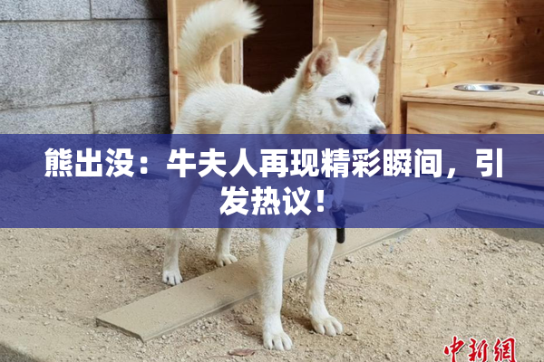 熊出没：牛夫人再现精彩瞬间，引发热议！