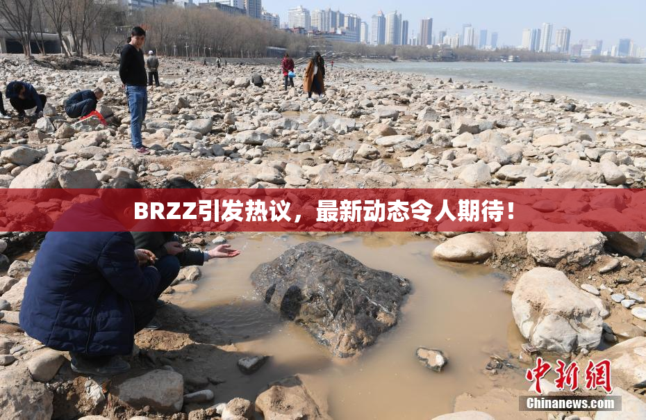 BRZZ引发热议，最新动态令人期待！