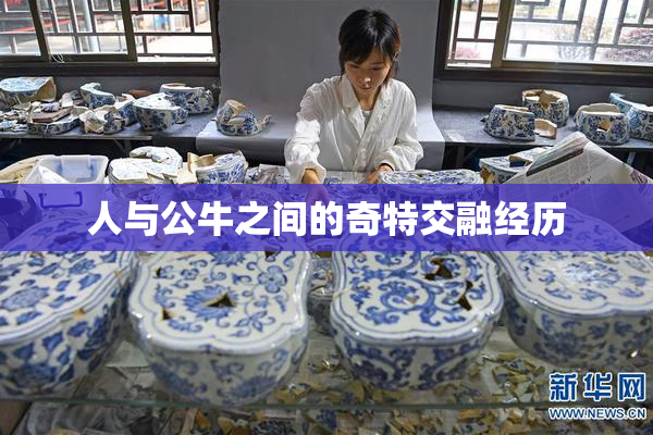 人与公牛之间的奇特交融经历