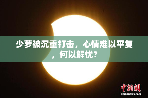 少萝被沉重打击，心情难以平复，何以解忧？