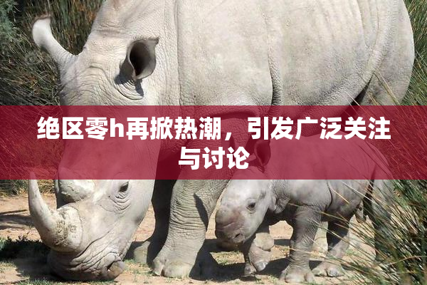 绝区零h再掀热潮，引发广泛关注与讨论