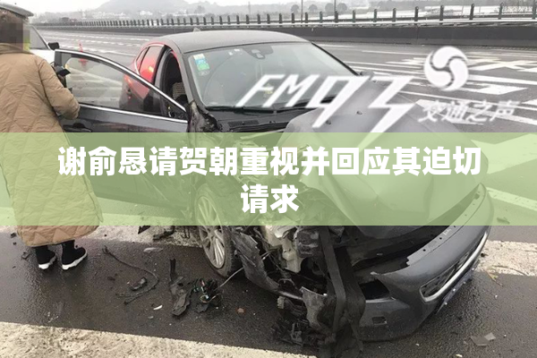 谢俞恳请贺朝重视并回应其迫切请求