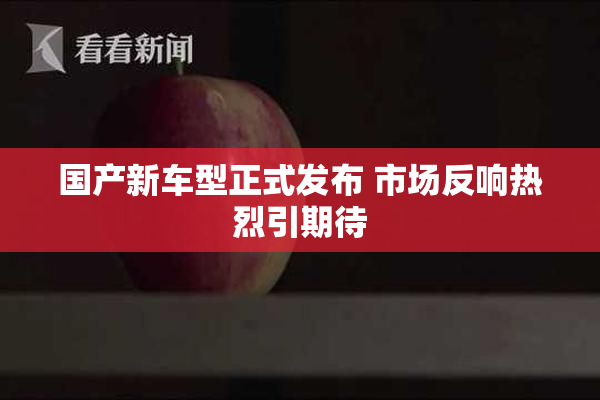 国产新车型正式发布 市场反响热烈引期待