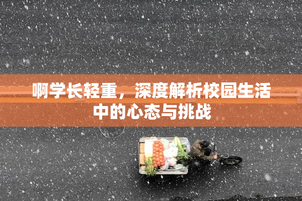 啊学长轻重，深度解析校园生活中的心态与挑战