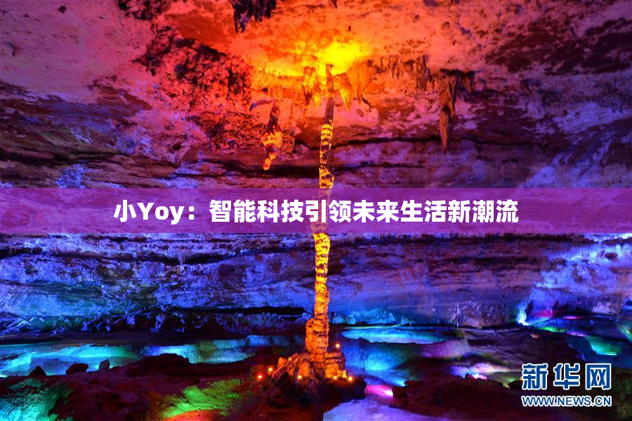 小Yoy：智能科技引领未来生活新潮流