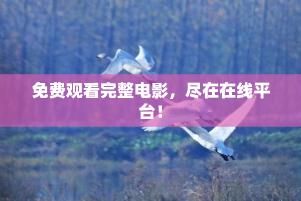 免费观看完整电影，尽在在线平台！