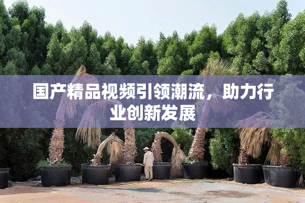 国产精品视频引领潮流，助力行业创新发展
