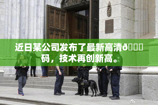 近日某公司发布了最新高清🈚码，技术再创新高。