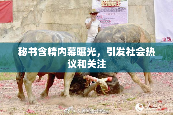 秘书含精内幕曝光，引发社会热议和关注