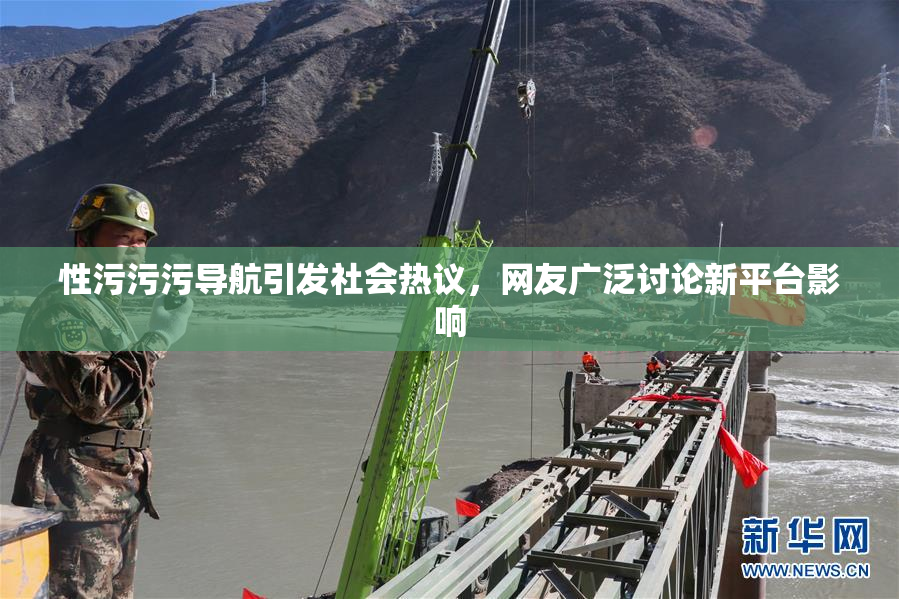性污污污导航引发社会热议，网友广泛讨论新平台影响