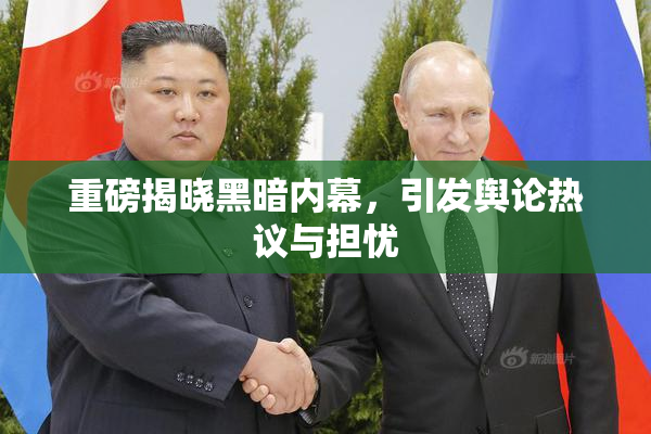 重磅揭晓黑暗内幕，引发舆论热议与担忧