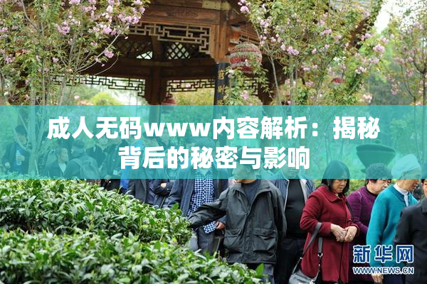 成人无码www内容解析：揭秘背后的秘密与影响