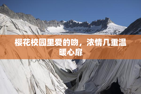樱花校园里爱的吻，浓情几重温暖心扉