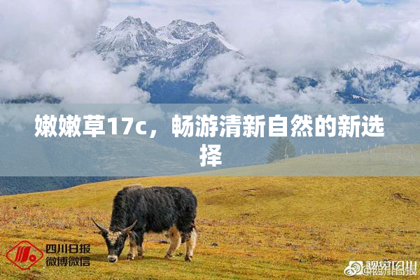 嫩嫩草17c，畅游清新自然的新选择