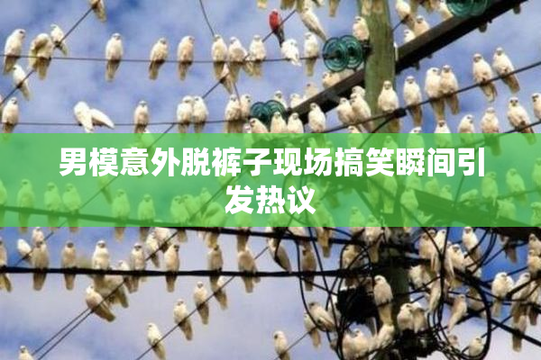 男模意外脱裤子现场搞笑瞬间引发热议