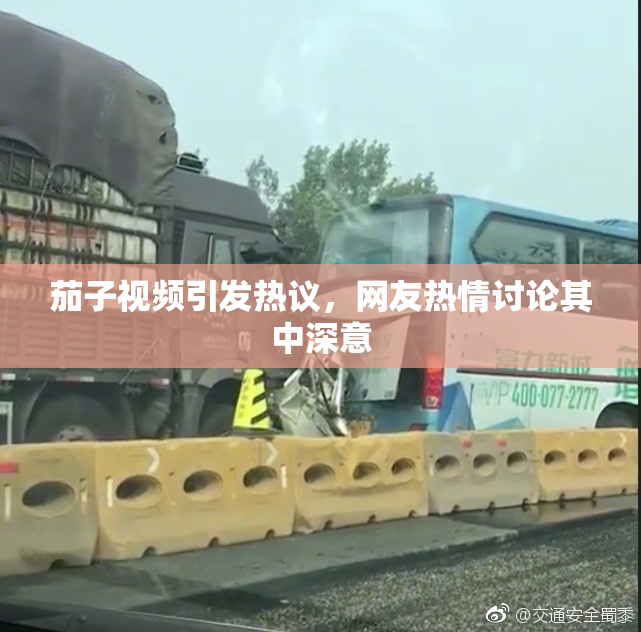 茄子视频引发热议，网友热情讨论其中深意