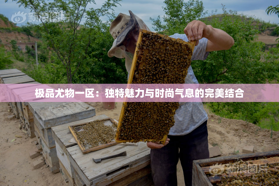 极品尤物一区：独特魅力与时尚气息的完美结合