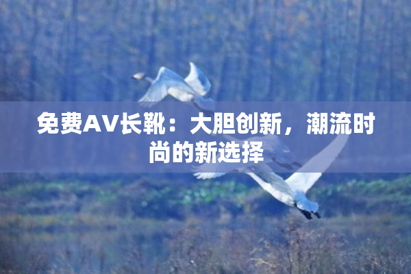 免费AV长靴：大胆创新，潮流时尚的新选择