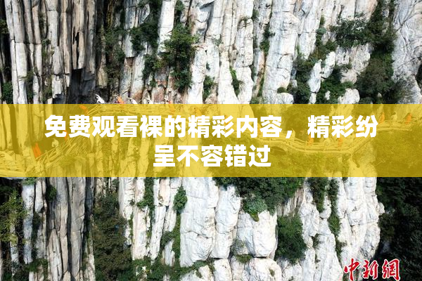 免费观看裸的精彩内容，精彩纷呈不容错过