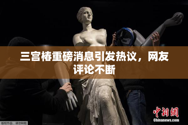 三宫椿重磅消息引发热议，网友评论不断