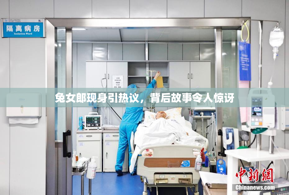 兔女郎现身引热议，背后故事令人惊讶