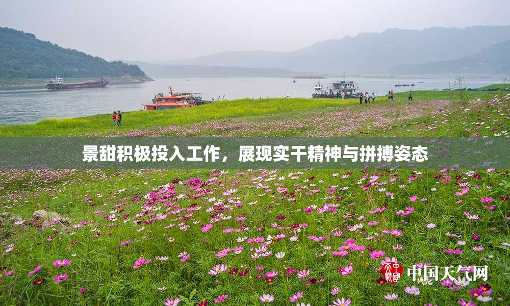 景甜积极投入工作，展现实干精神与拼搏姿态