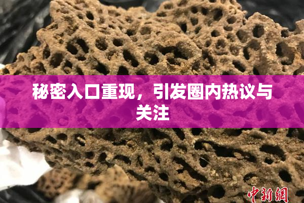 秘密入口重现，引发圈内热议与关注