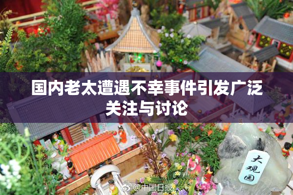 国内老太遭遇不幸事件引发广泛关注与讨论