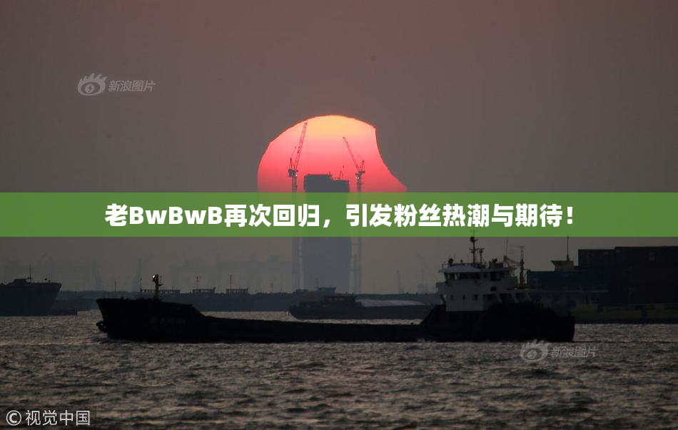 老BwBwB再次回归，引发粉丝热潮与期待！