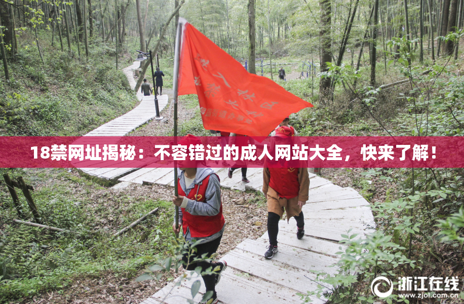 18禁网址揭秘：不容错过的成人网站大全，快来了解！
