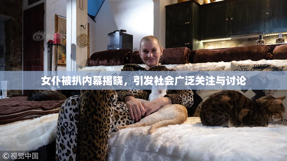女仆被扒内幕揭晓，引发社会广泛关注与讨论