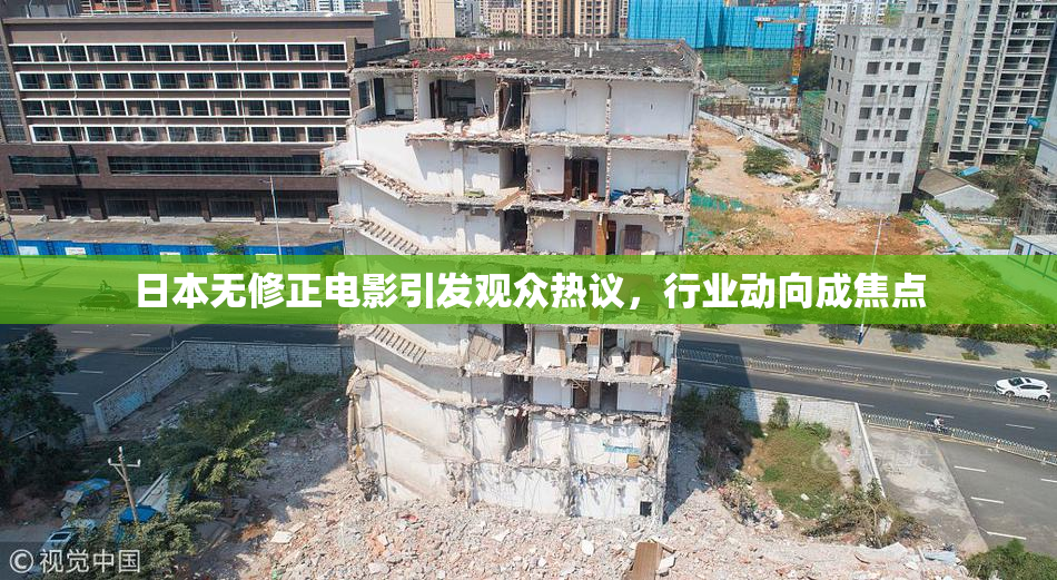 日本无修正电影引发观众热议，行业动向成焦点