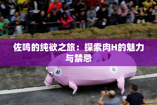 佐鸣的纯欲之旅：探索肉H的魅力与禁忌