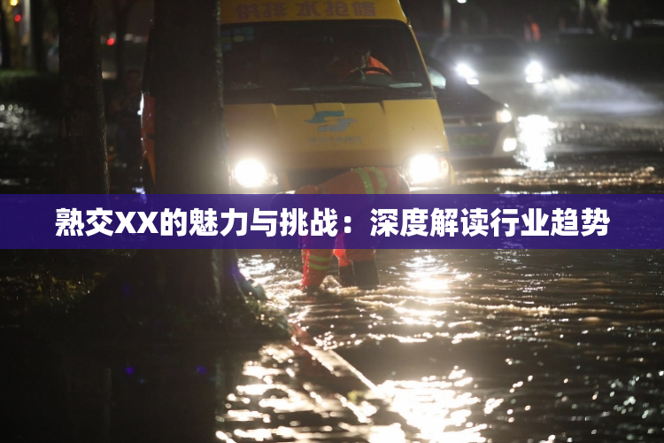熟交XX的魅力与挑战：深度解读行业趋势