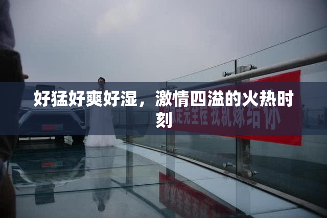 好猛好爽好湿，激情四溢的火热时刻
