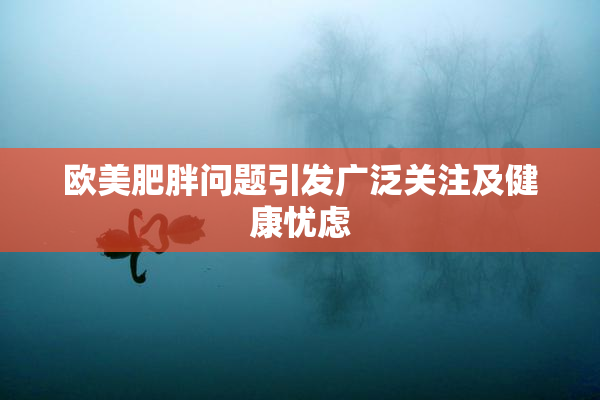 欧美肥胖问题引发广泛关注及健康忧虑