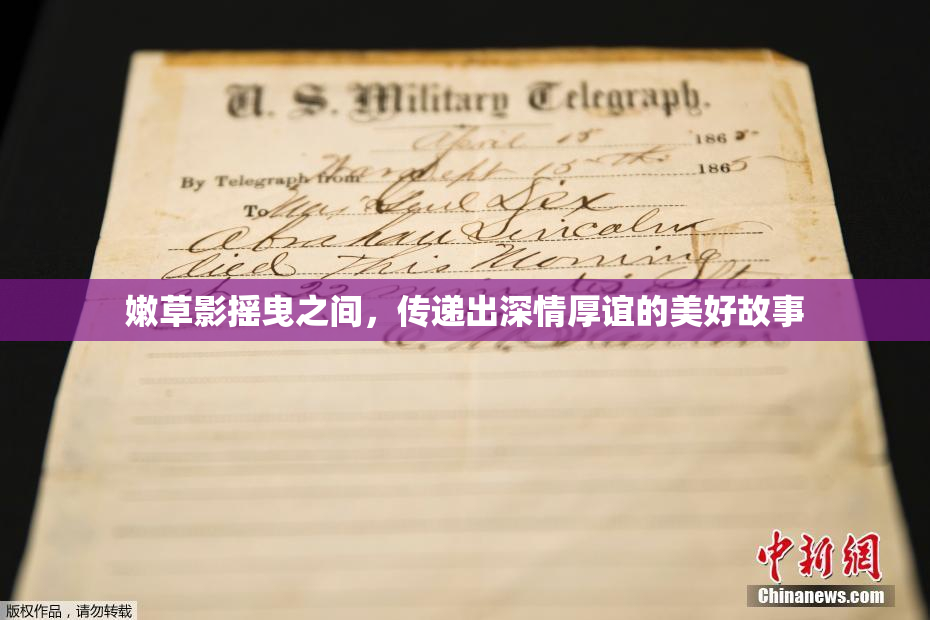 嫩草影摇曳之间，传递出深情厚谊的美好故事