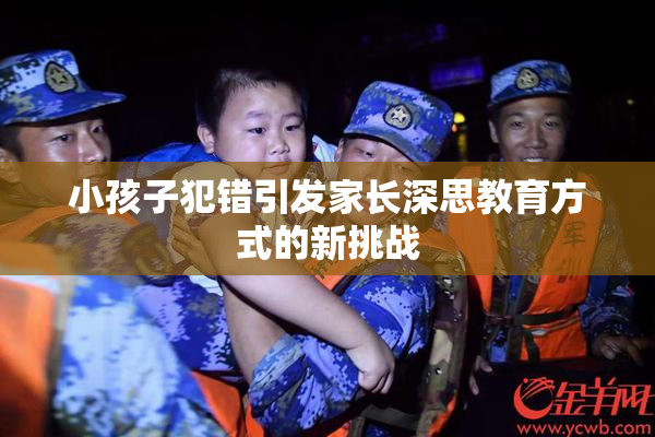 小孩子犯错引发家长深思教育方式的新挑战