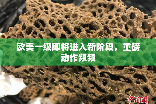 欧美一级即将进入新阶段，重磅动作频频
