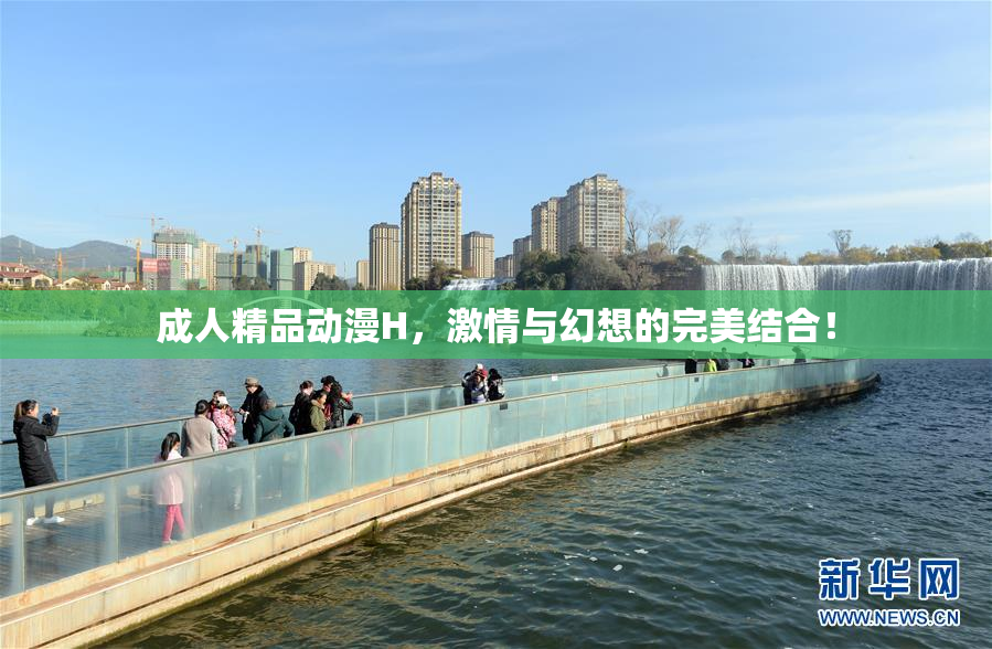 成人精品动漫H，激情与幻想的完美结合！