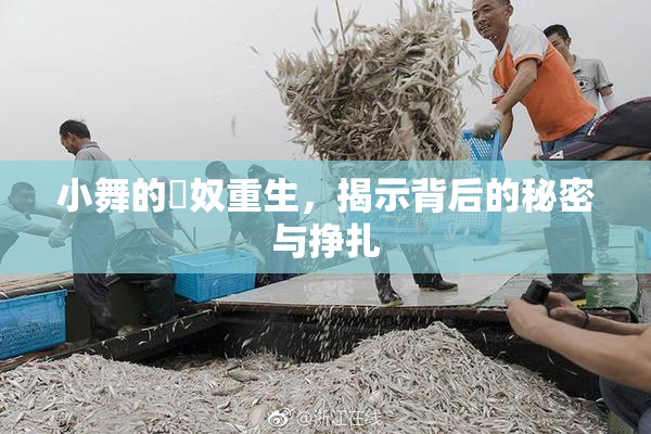 小舞的婬奴重生，揭示背后的秘密与挣扎