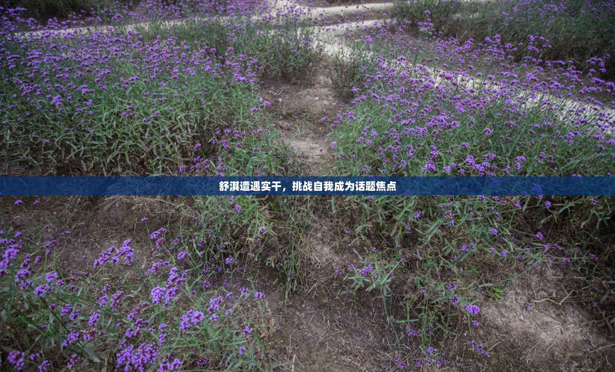 舒淇遭遇实干，挑战自我成为话题焦点