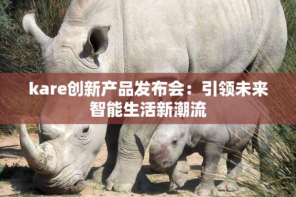 kare创新产品发布会：引领未来智能生活新潮流